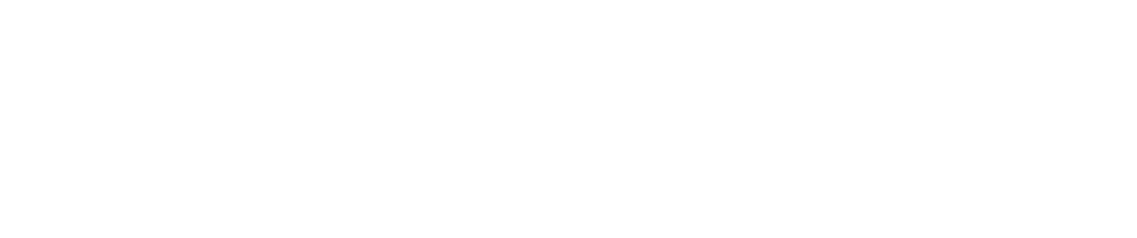 logotyp wirex domy z drewna